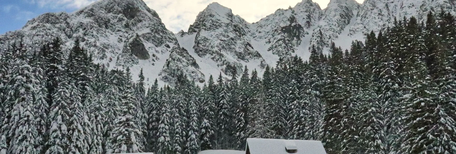 Snowshoe walking Mödringalm -marked snowshoe trail in the Triebental valley - Touren-Impression #1 | © Weges OG