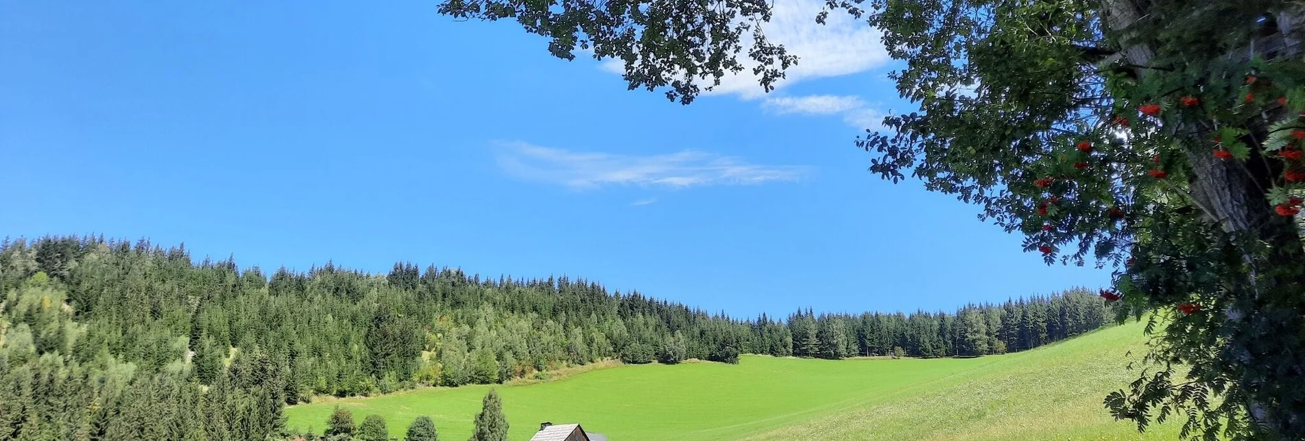 Wanderung Steinplan über Kalchbauer - Touren-Impression #1 | © WEGES OG