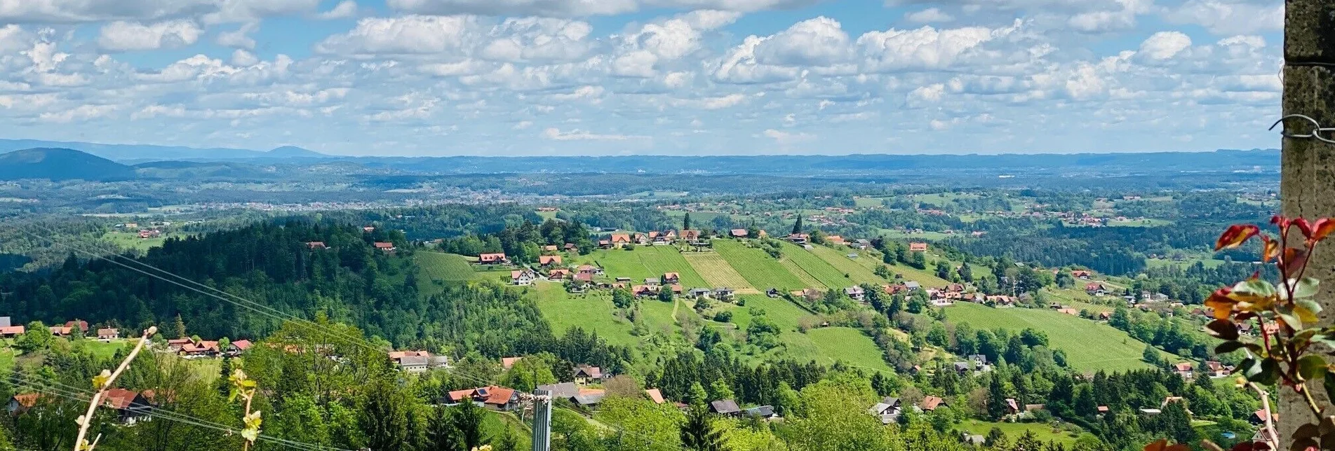 Hiking route Big St. Stefan Round Walk - Touren-Impression #1 | © Schilcherland Steiermark