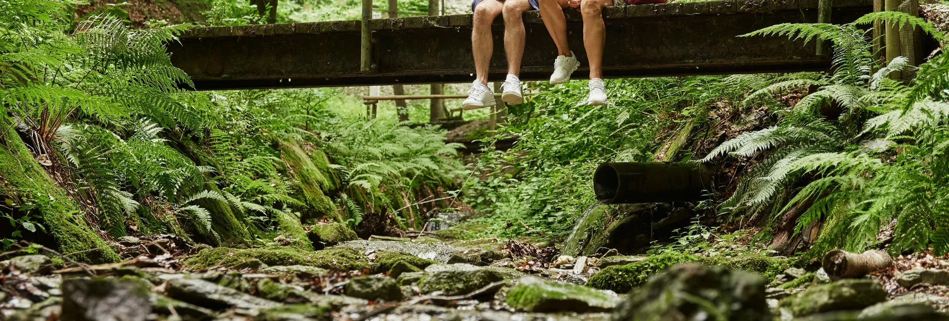 Hiking route Adventure hill-circuit with bear pit, Friedberg - Touren-Impression #1 | © Oststeiermark Tourismus