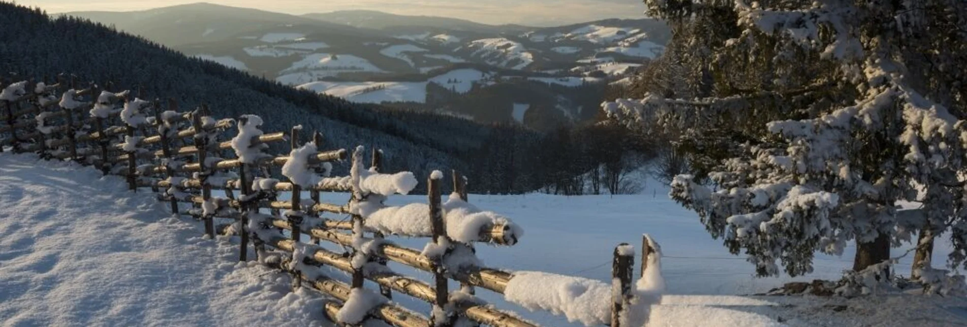 Winterwandern Winterwanderweg vom Orthofer zum Berger, St. Jakob im Walde - Touren-Impression #1 | © Gasthof Orthofer