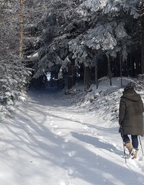 Masenberg Winterwandern | © Oststeiermark Tourismus | Christine Schwetz | © Oststeiermark Tourismus