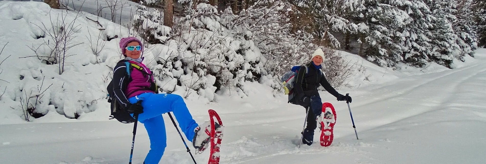 Schneeschuh Schneeschuhwanderung Habring - Touren-Impression #1 | © Weges OG