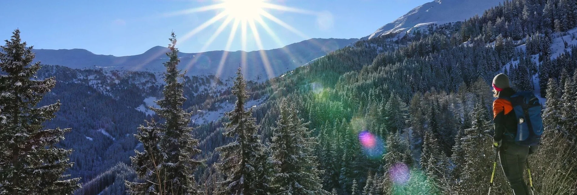 Schneeschuh Schneeschuhwanderung Wildalm - Touren-Impression #1 | © Weges OG