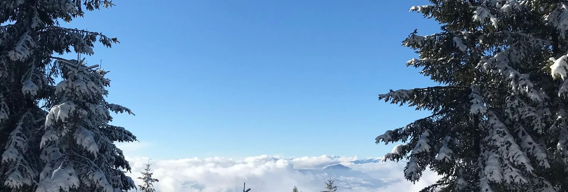 Winter Hiking Patscha Winter Hike - Touren-Impression #1 | © Oststeiermark Tourismus