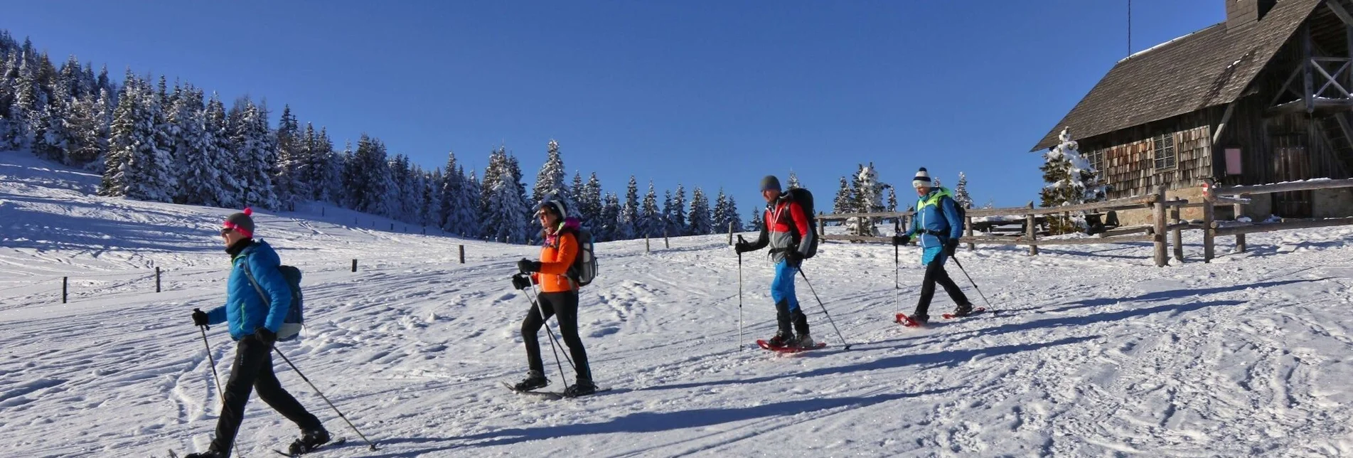 Snowshoe walking Snowshoe hike Rosenkogel - Touren-Impression #1 | © Weges OG