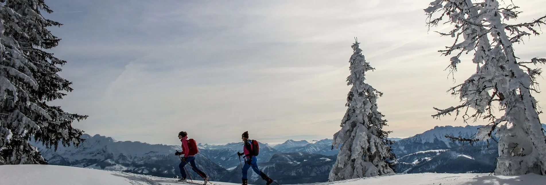 Skitour Skitour auf den Almkogel - Touren-Impression #1 | © TVB Ausseerland - Salzkammergut