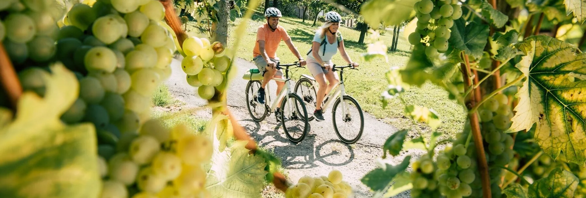 Rennrad Mit Rad in die Geschichte, Hartberg - Touren-Impression #1 | © Oststeiermark Tourismus