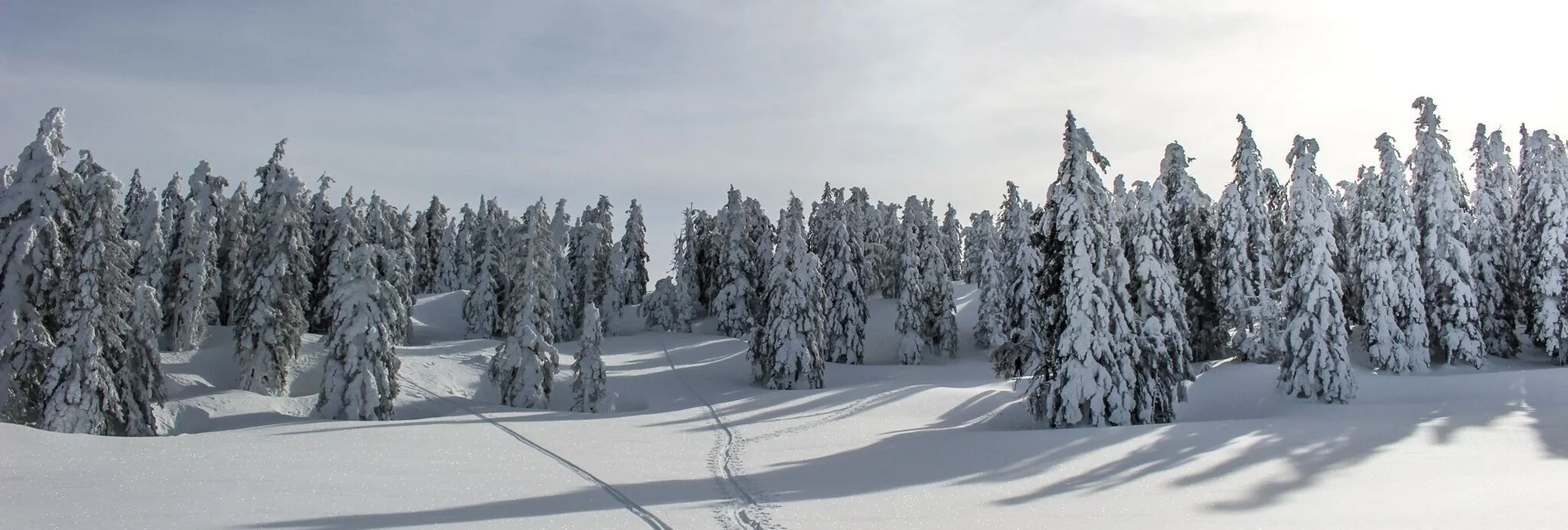 Ski Touring Skitour auf das Große Tragl | Überschreitung mit Geisterwaldabfahrt - Touren-Impression #1 | © TVB Ausseerland - Salzkammergut