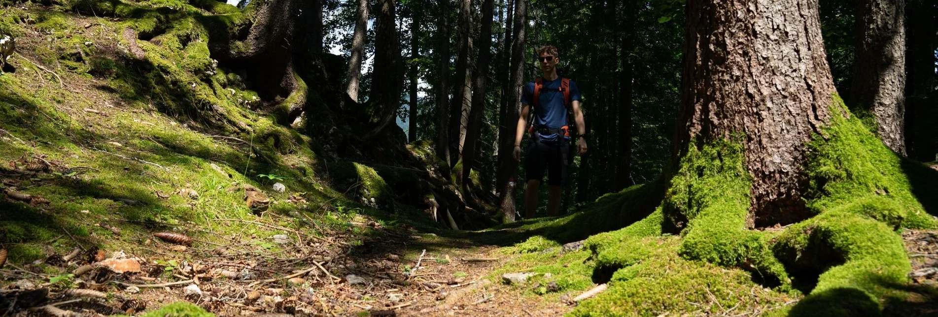 Hiking route Aicherlstone - Touren-Impression #1 | © Erlebnisregion Schladming-Dachstein