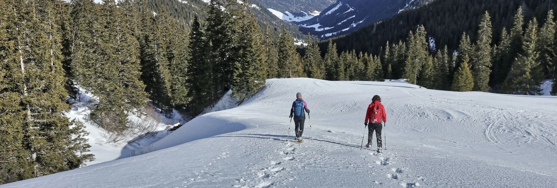 Snowshoe walking Snowshoe hiking in the Schwaberggraben - Touren-Impression #1 | © Weges OG