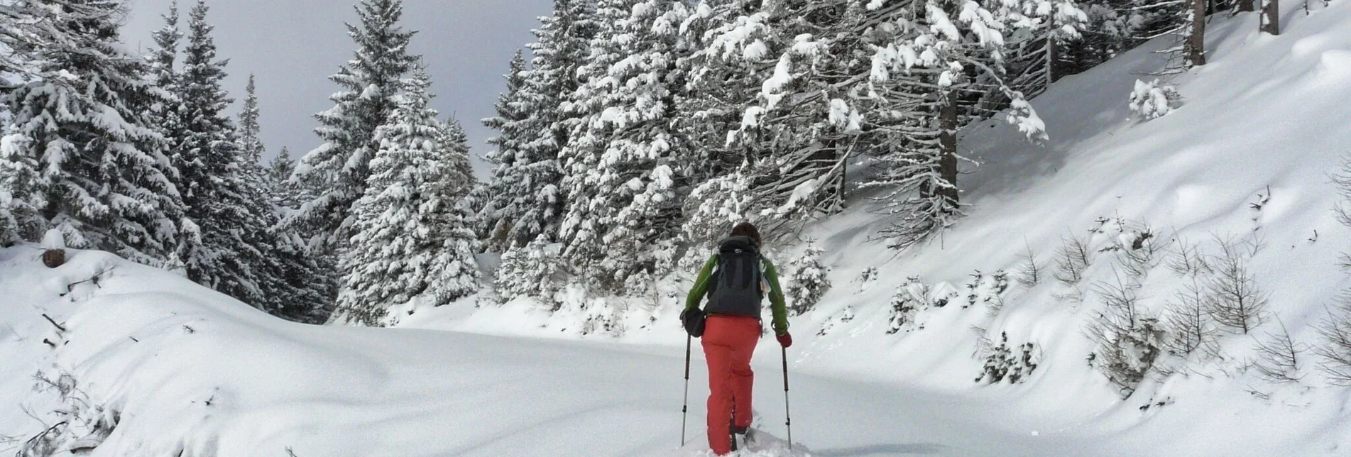 Schneeschuh Schneeschuhwanderung Turneralm und Hirschkreuz - Touren-Impression #1 | © Weges OG