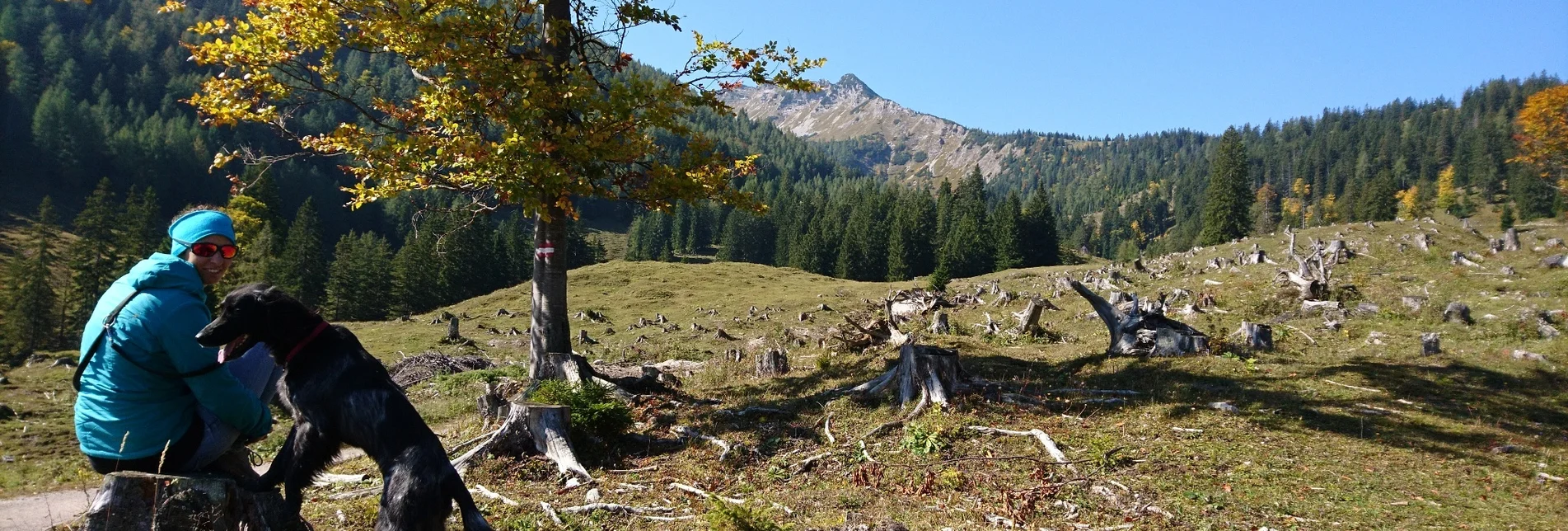 Wanderung Über die Kräuterinalm auf den Hochstadl - Touren-Impression #1 | © TV Hochsteiermark