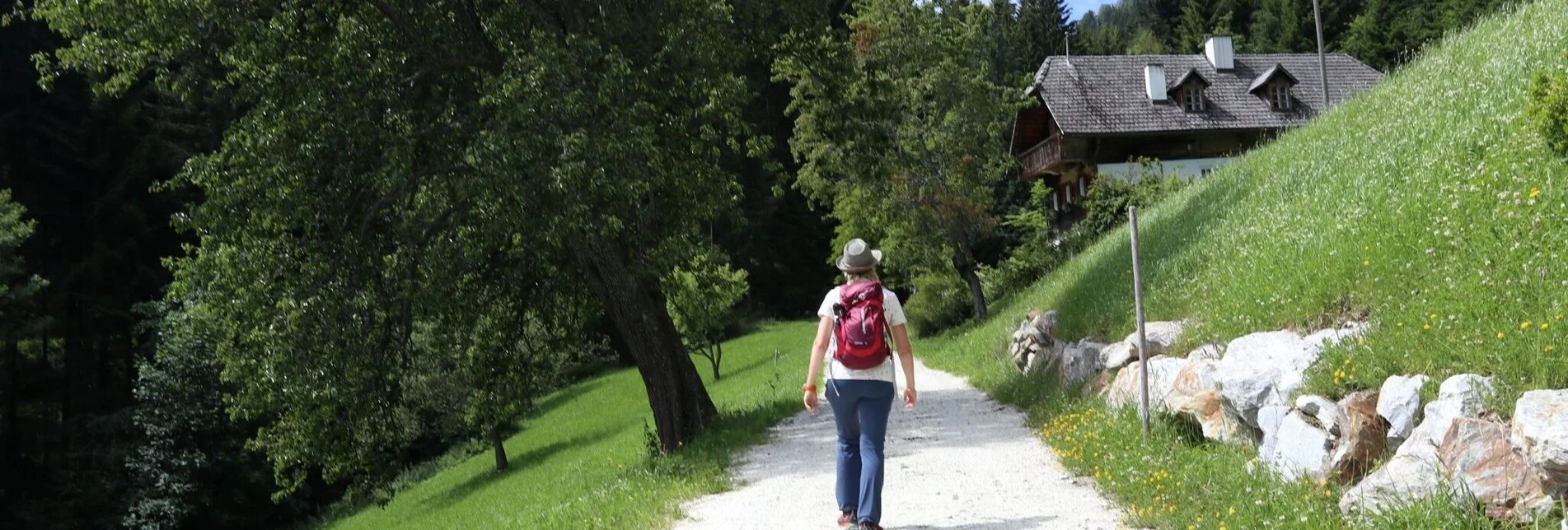 Hiking route Pullerrieglrunde Gasen - Touren-Impression #1 | © Oststeiermark Tourismus