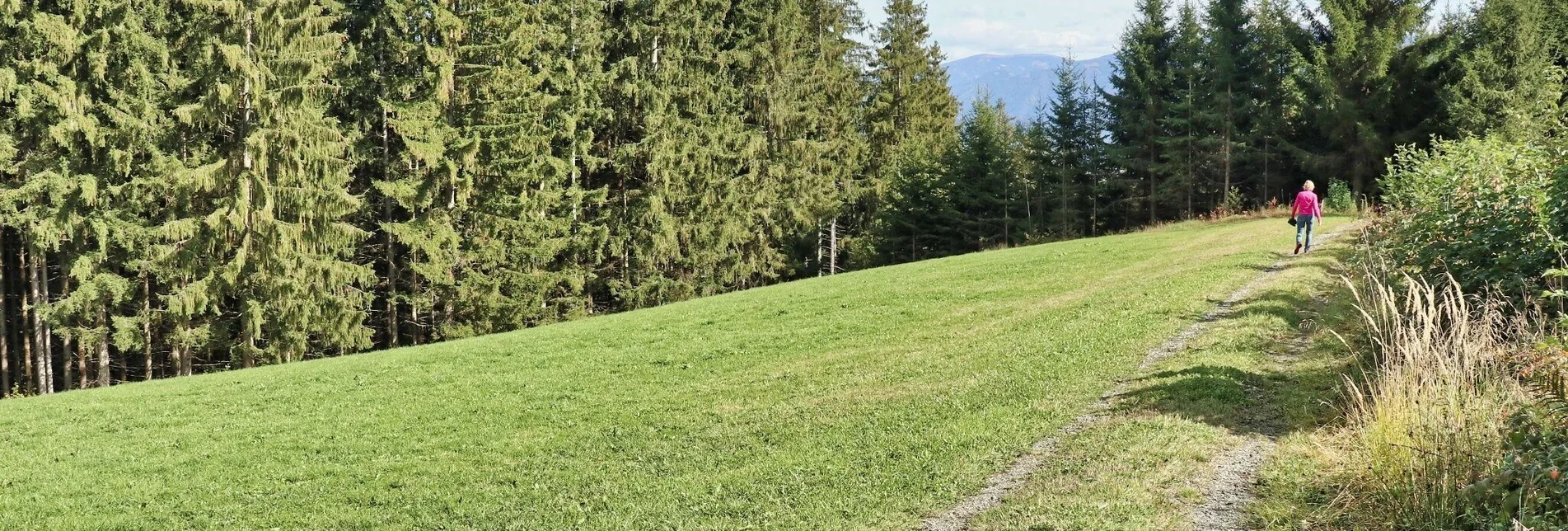 Hiking route 28e-Seckau - Dürnberg Rundwanderweg - Touren-Impression #1 | © Weges OG