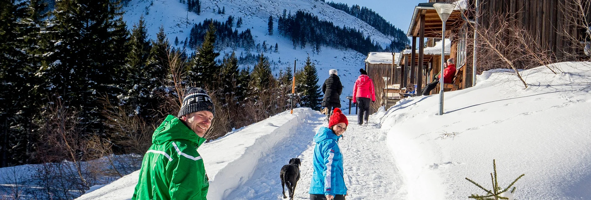 Rodeln Rodelbahn am Präbichl - Touren-Impression #1 | © Steiermark Tourismus