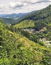View to Ratten, Joglland-Waldheimat in Eastern Styria | © Oststeiermark Tourismus | Christine Pollhammer | © Oststeiermark Tourismus