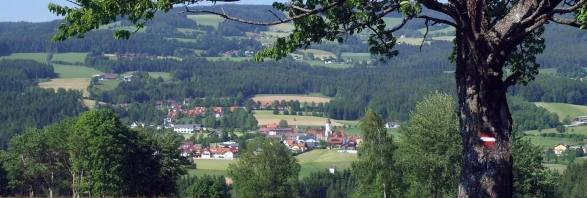 Hiking route Miesenbach-Round, Miesenbach - Touren-Impression #1 | © TV Miesenbach, Studio fotogen