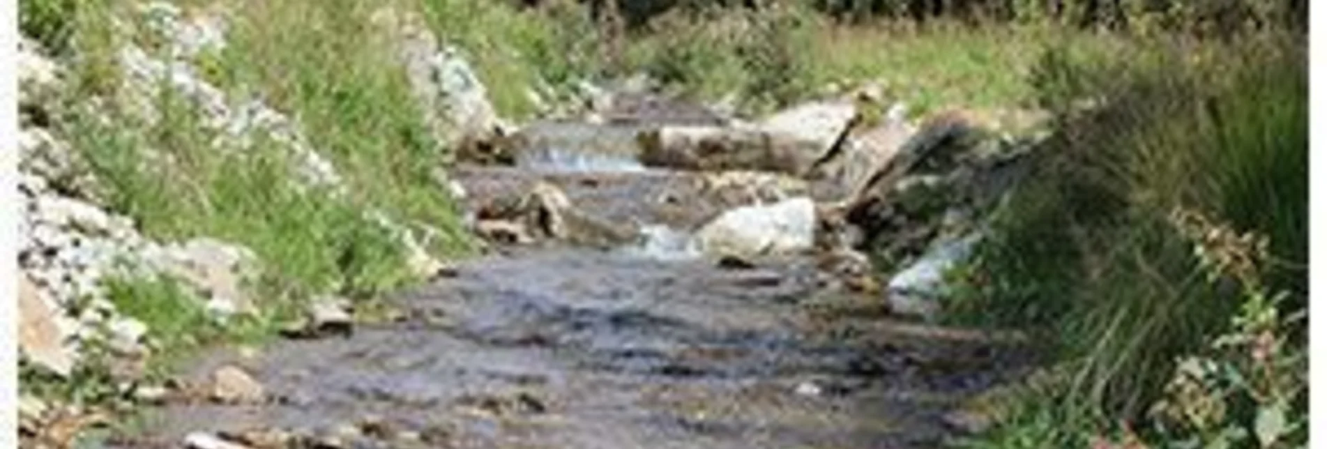 Hiking route Lechner Graben - Wildbachlweg, Strallegg - Touren-Impression #1 | © Robert Schafferhofer