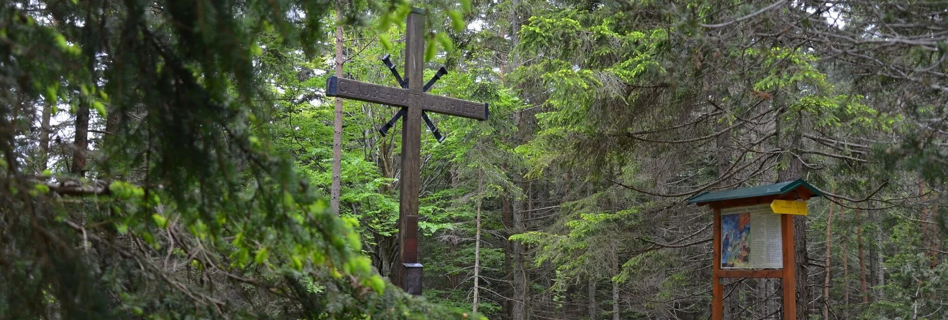 Wanderung Grauer Stein - Kalter Brunnweg, Strallegg - Touren-Impression #1 | © Sepp Reitbauer