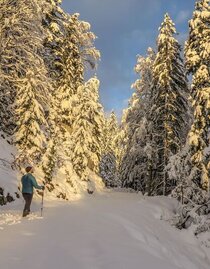 Winterwondeerland | © TV Gesäuse | Tourismusverband Gesäuse | © TV Gesäuse