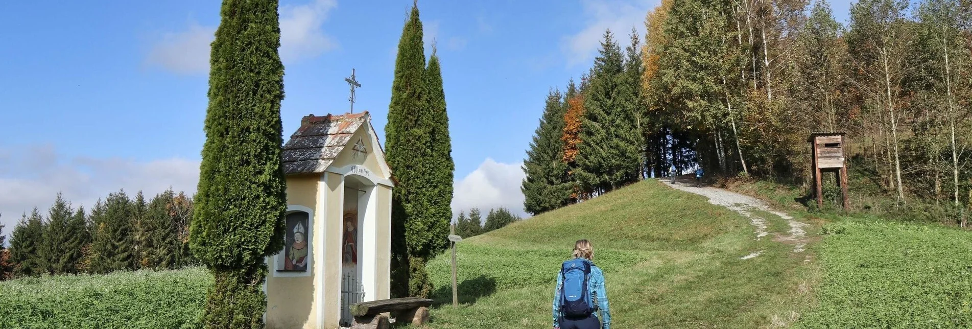 Wanderung Rundwanderung Eichkögl und Fladnitzberg - Touren-Impression #1 | © Weges OG