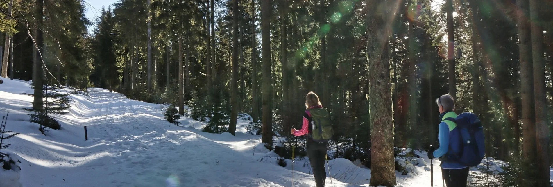 Snowshoe walking Snowshoe hike at the Teufelstein, Fischbach - Touren-Impression #1 | © WEGES