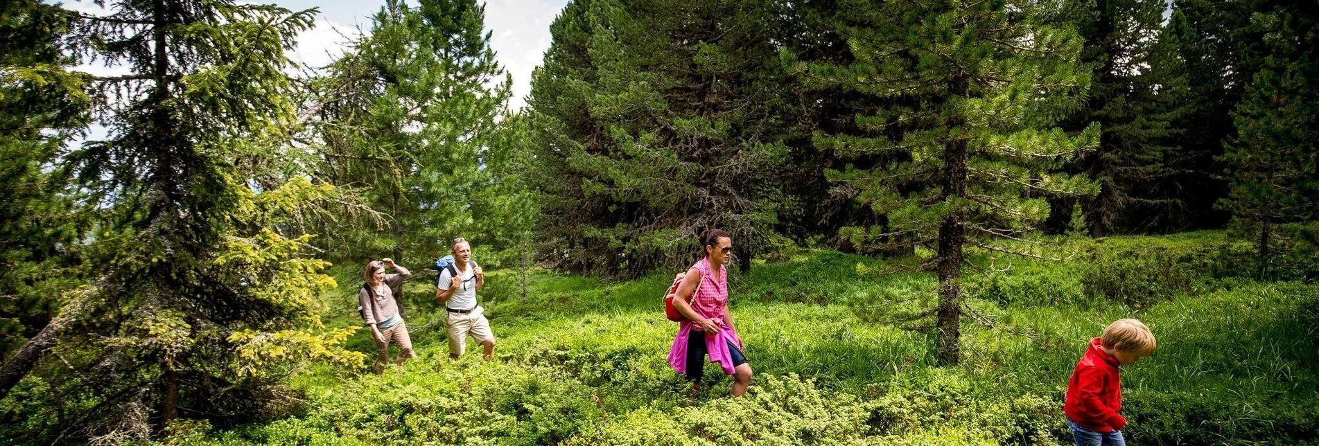 Hiking route Kreischberg - Touren-Impression #1 | © Tourismusverband Murau