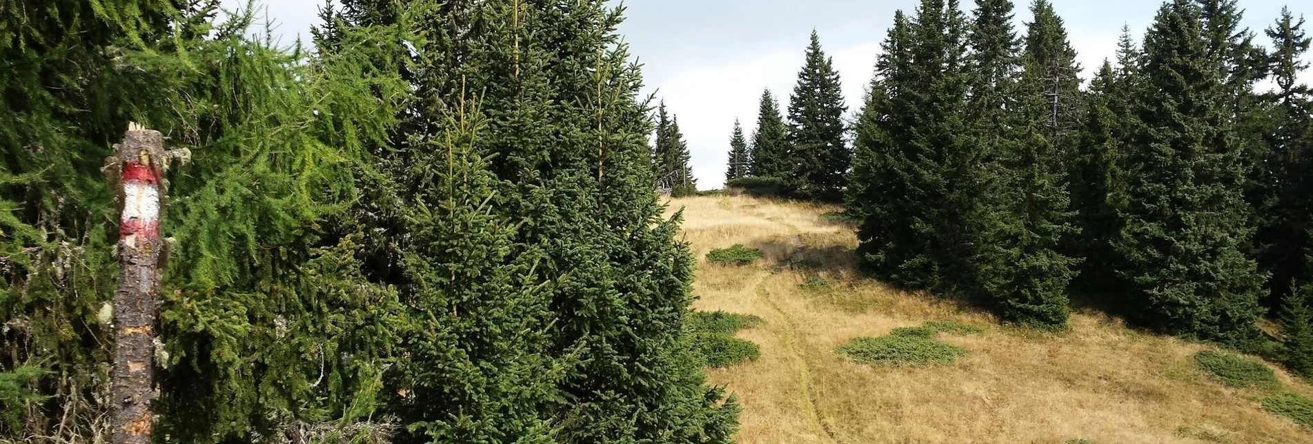 Hiking route Route to the Stolzalpe summit - Touren-Impression #1 | © Tourismusverband Murau