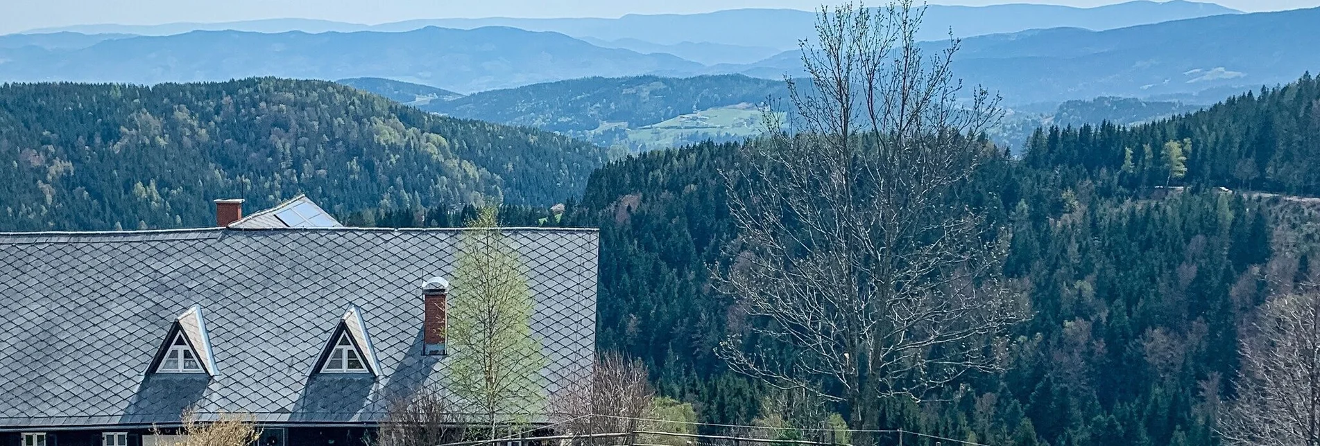 Mountain Biking Schmuckbauerwirt - St. Anna - the bike tour for the brave - Touren-Impression #1 | © Südsteiermark