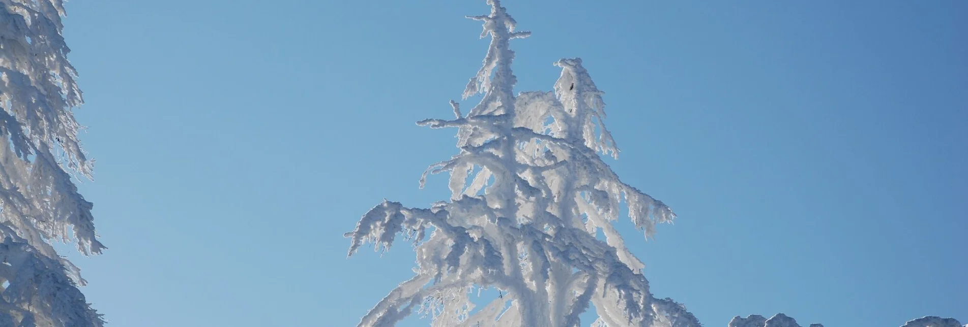 Winterwandern Winterwanderweg Pichl-Vorberg - Touren-Impression #1 | © Erlebnisregion Schladming-Dachstein