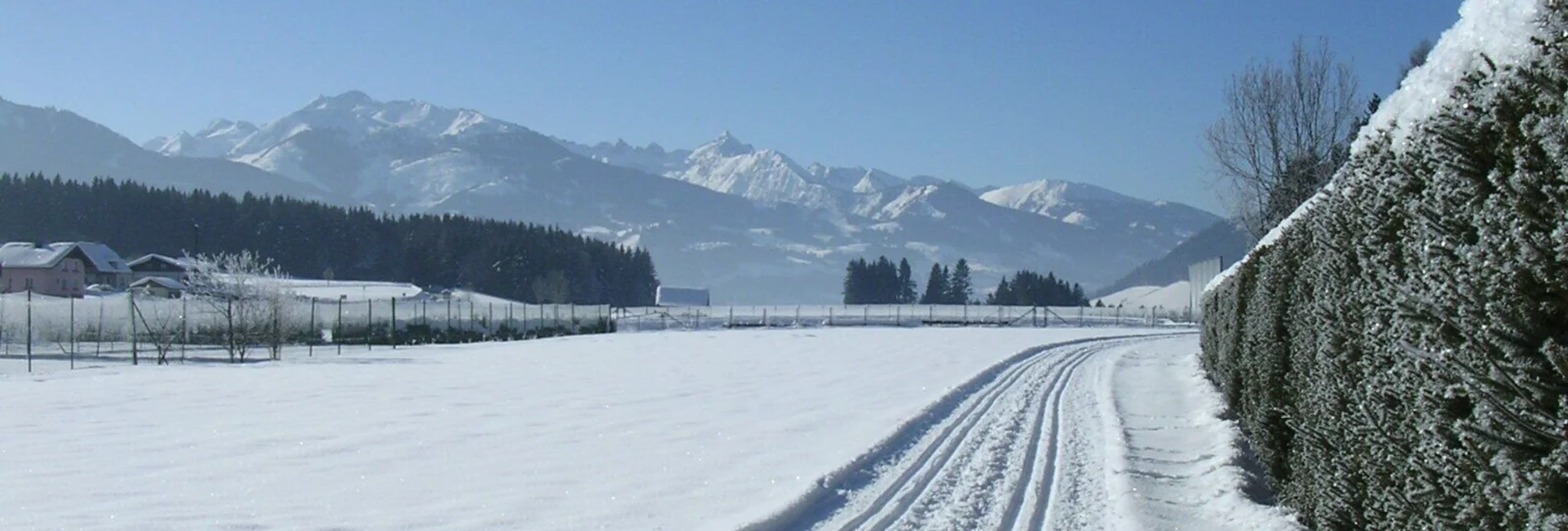 Ski-nordic-classic Enns XC Trail Pruggern-Moosheim - Touren-Impression #1 | © Erlebnisregion Schladming-Dachstein