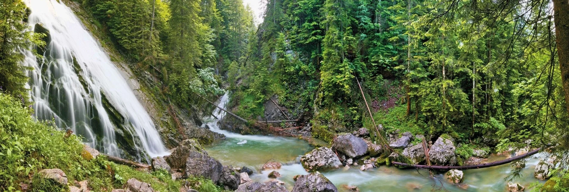 Hiking route Tauplitz circular route - Touren-Impression #1 | © Unbekannt