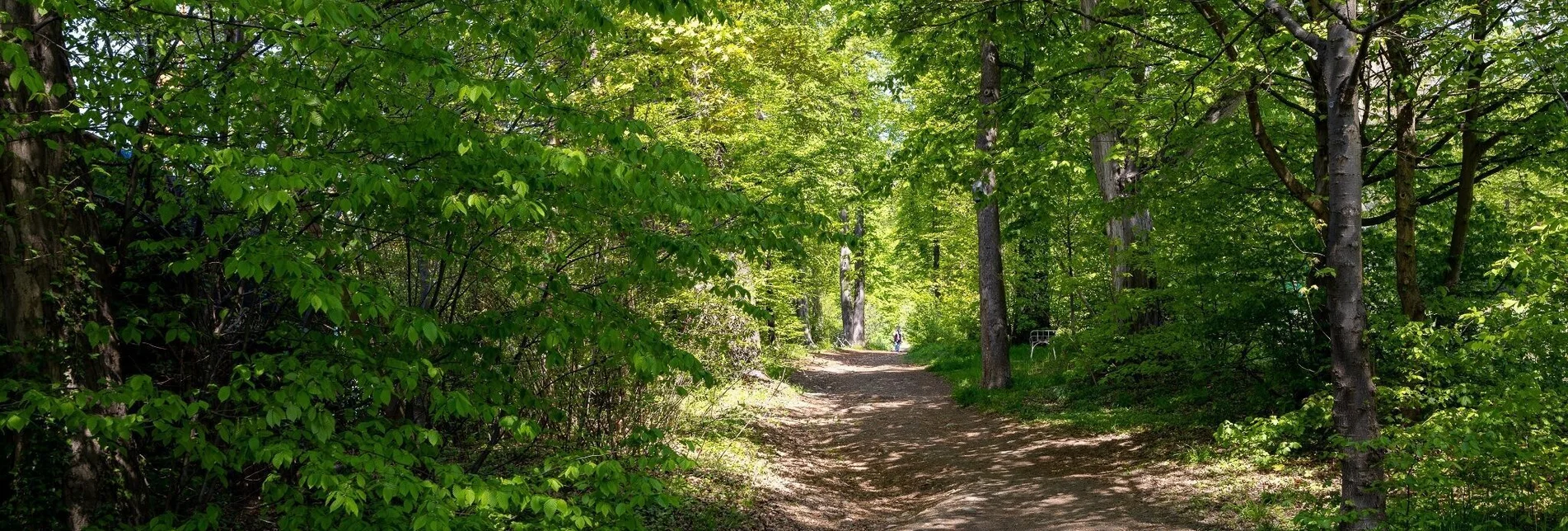 Hiking route Stroll between Rosenhain and Mariagrün - Touren-Impression #1 | © Region Graz