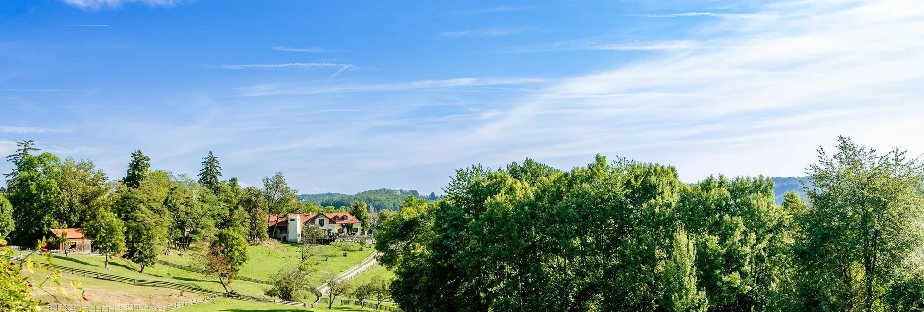 Hiking route Fun(ny) walk at the Lustbühel - Touren-Impression #1 | © Graz Tourismus