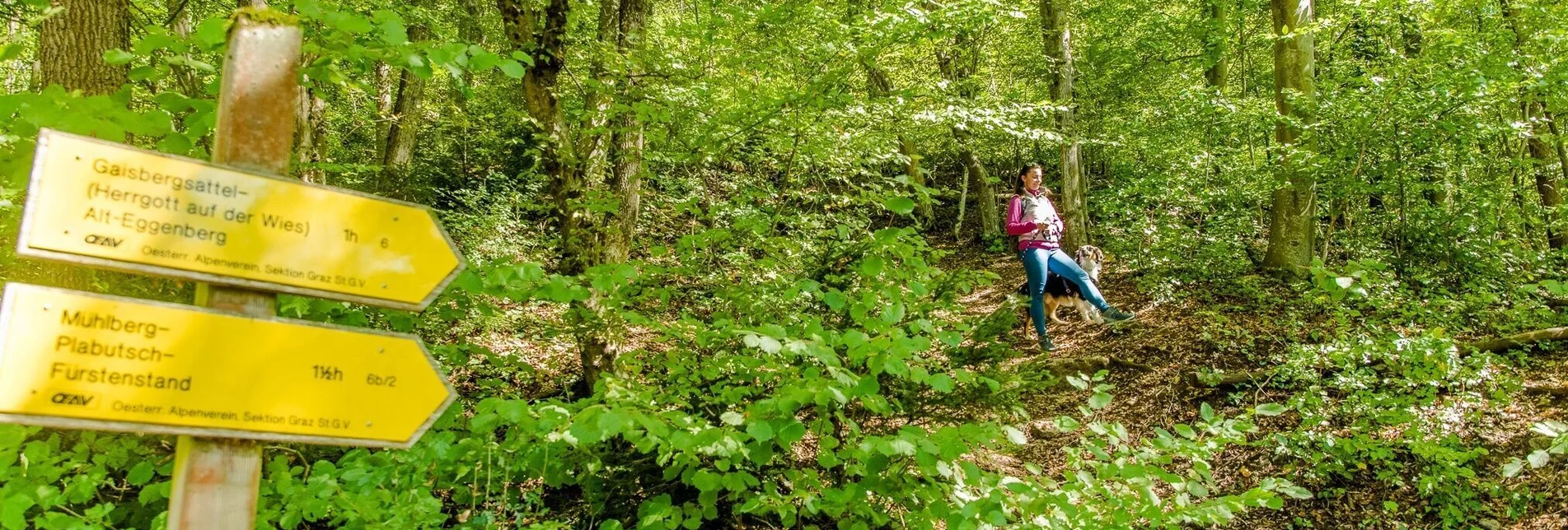 Wanderung Fürstenstand - Hoch hinauf - Touren-Impression #1 | © Graz Tourismus