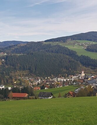 Blick nach Birkfeld, Joglland-Waldheimat in der Oststeiermark | Christine Pollhammer | © Oststeiermark Tourismus
