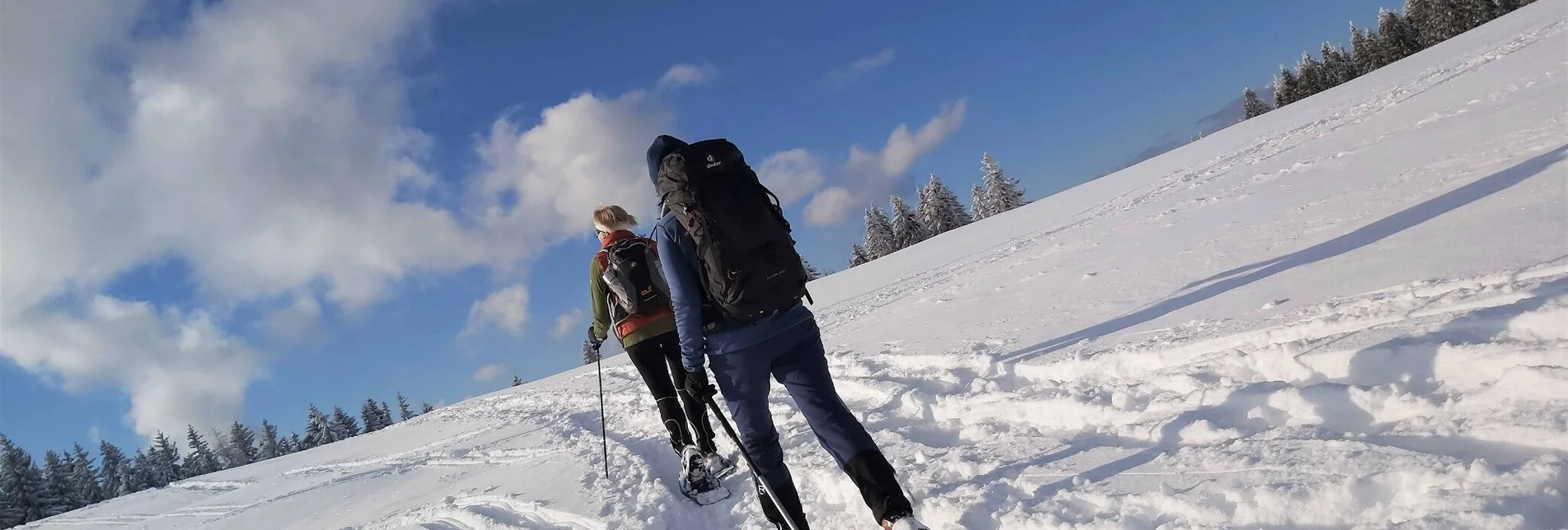 Snowshoe walking Snowshoe hike on Plankogel, Sommeralm - Touren-Impression #1 | © Oststeiermark Tourismus