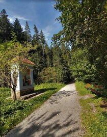 Crossroads in Bärental_Eastern Styria | © Oststeiermark Tourismus | Christine Pollhammer | © Oststeiermark Tourismus