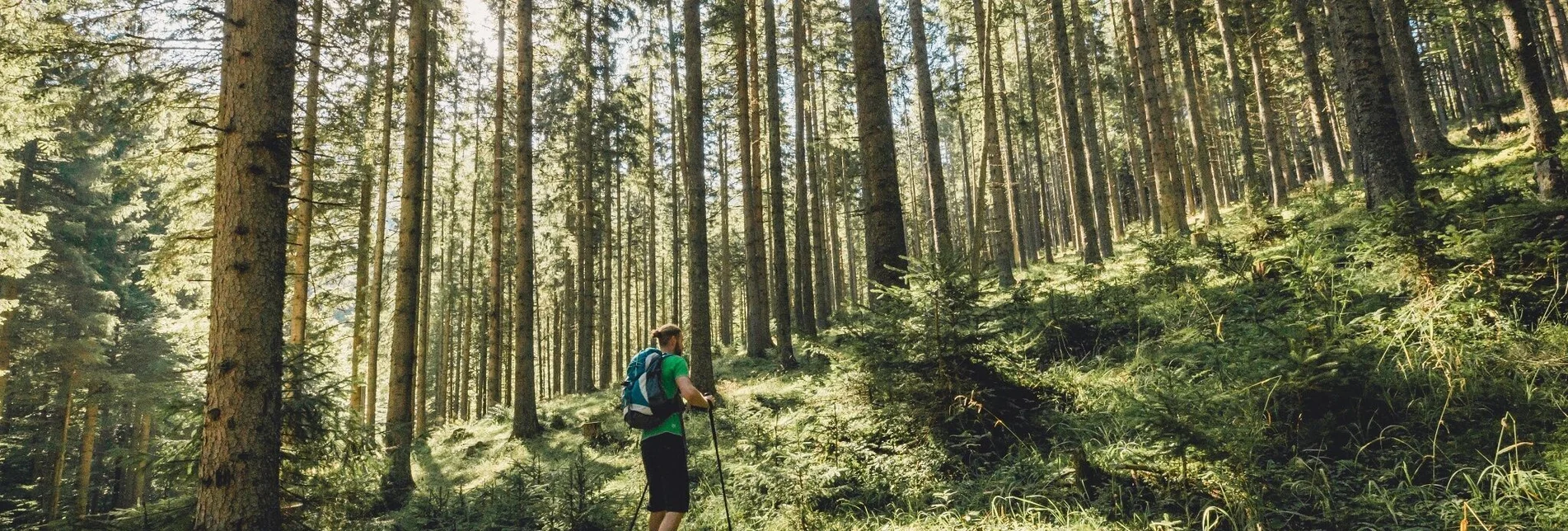 Hiking route Malleistenalm - Hocheck - Touren-Impression #1 | © Hochsteiermark