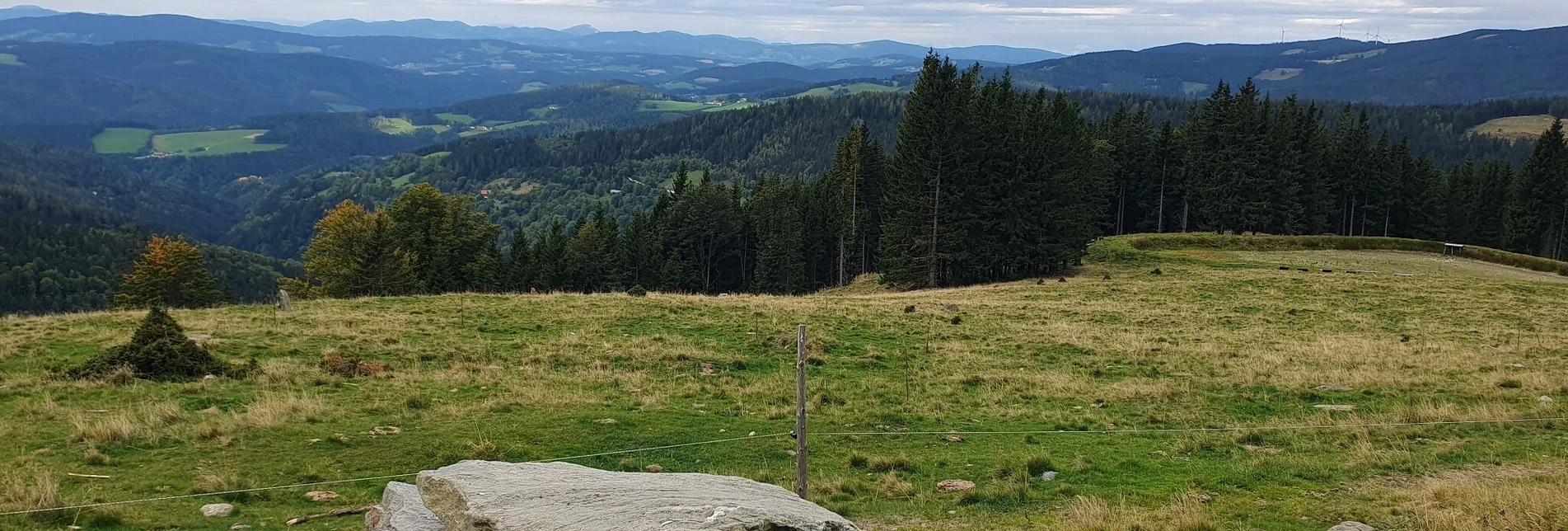 Wanderung Glatzl Trahütten Alm-Runde, St.Lorenzen am Wechsel - Touren-Impression #1 | © Oststeiermark Tourismus