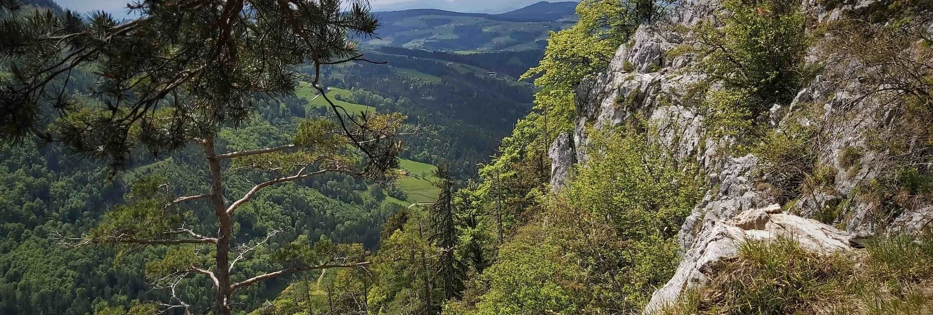 Hiking route Gösser & Sattelberge-Runde, Dürntal/Weiz - Touren-Impression #1 | © Oststeiermark Tourismus