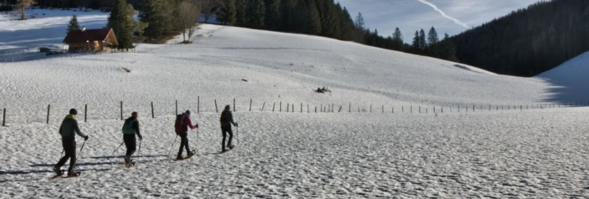 Snowshoe walking Snowshoe hike Tyrnaueralm, Teichalm - Touren-Impression #1 | © Oststeiermark Tourismus