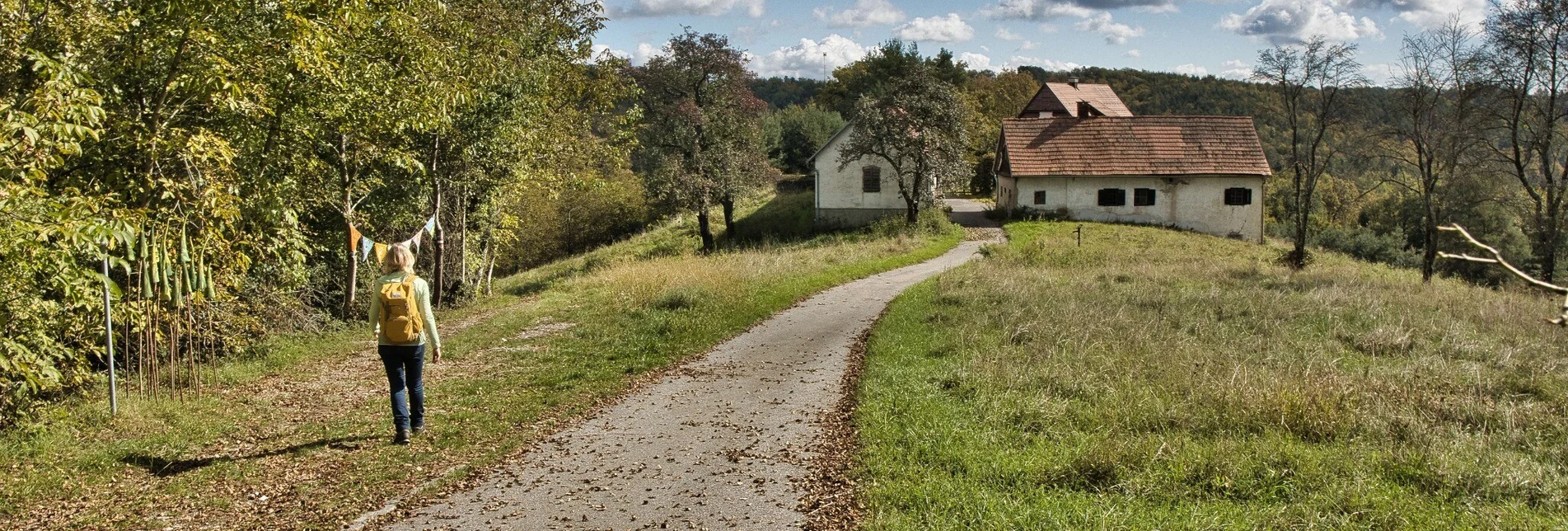 Hiking route Taggerwaldweg - Touren-Impression #1 | © Weges OG