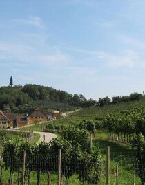 Hödl Hof Orchard in Stubenberg, Eastern Styria | © Oststeiermark Tourismus | Familie Hödl | © Oststeiermark Tourismus