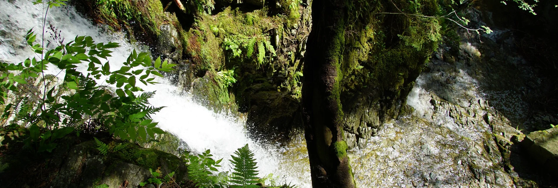 Wanderung Romai Wasserfall Runde, St. Jakob im Walde - Touren-Impression #1