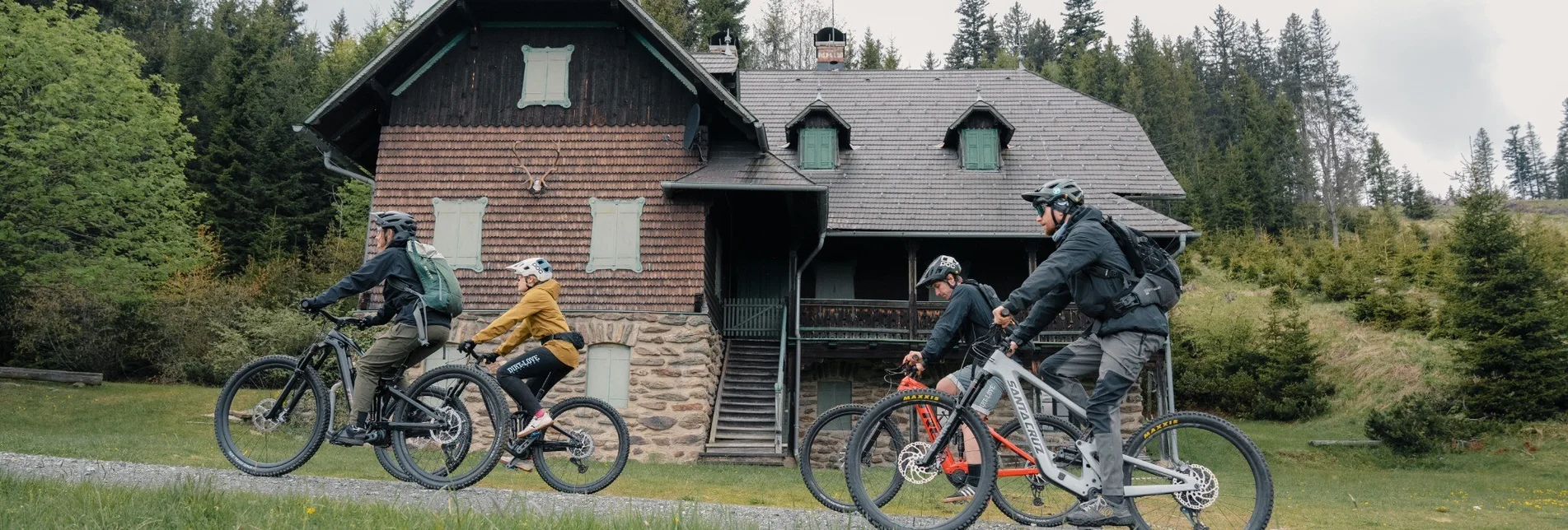 Mountainbike Steirische Wexl Trails - Thalberger Schwaig Route - Touren-Impression #1 | © Verein Tourismusentwicklung Steirischer Wechsel