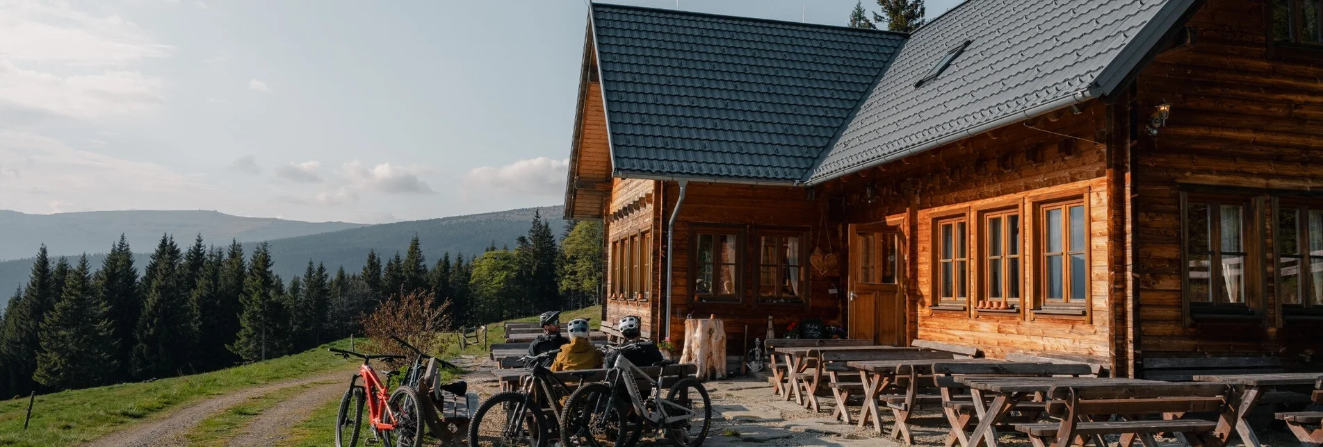 Mountainbike Steirische Wexl Trails - Lorenzkogel Route - Touren-Impression #1 | © Verein Tourismusentwicklung Steirischer Wechsel