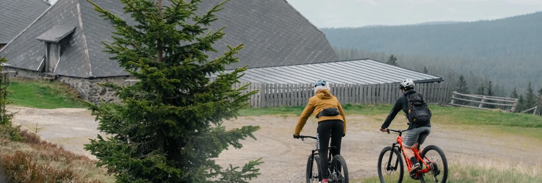 Mountain Biking Styrian Wexl Trails - Vorauer Schwaig Trail - Touren-Impression #1 | © Verein Tourismusentwicklung Steirischer Wechsel