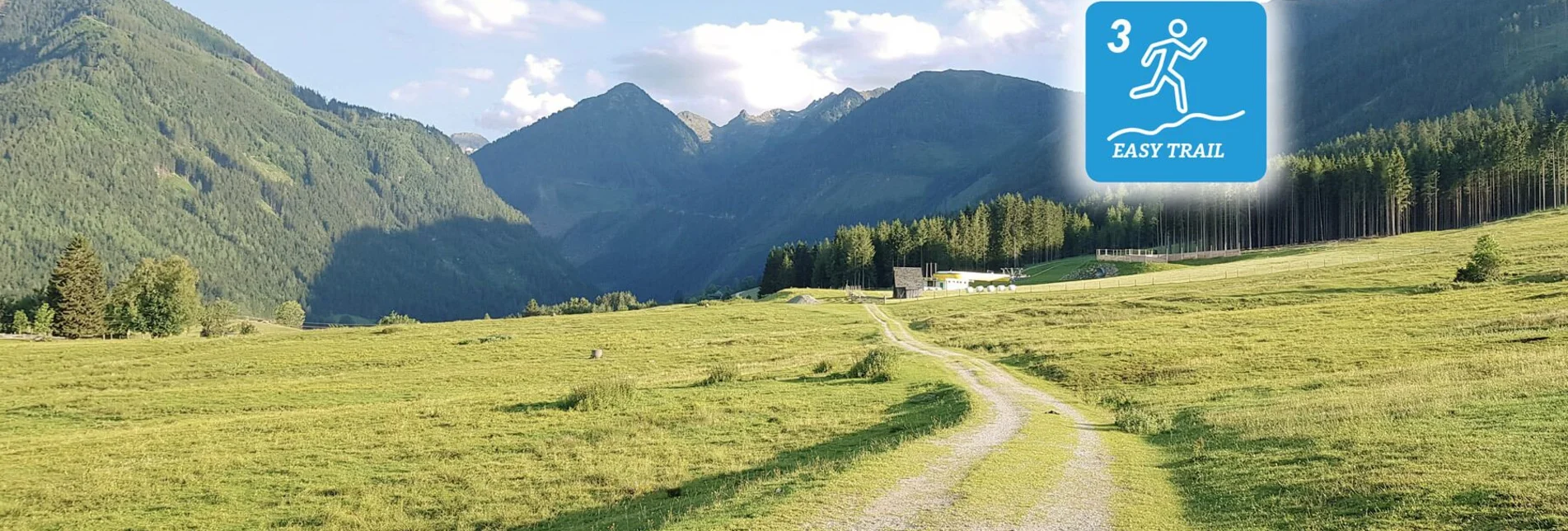 Trail Running Bernhard Knauss Trail - Touren-Impression #1 | © Erlebnisregion Schladming-Dachstein